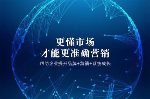 志卓科技SEO推广 数字化浪潮中实现客户的精准营销