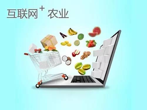 电商是农产品销售的“救世主”吗？